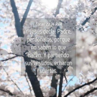 Picture 04 - Lucas 23:34 RVA - Y Jesús decía: Padre, perdónalos, porque no - Bible Verse Picture