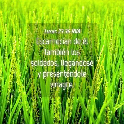 Picture 04 - Lucas 23:36 RVA - Escarnecían de él también los soldados, - Bible Verse Picture