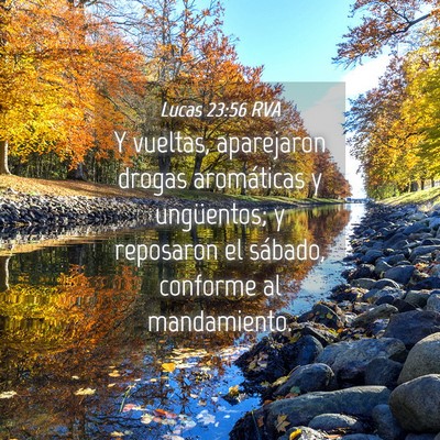 Picture 04 - Lucas 23:56 RVA - Y vueltas, aparejaron drogas aromáticas y - Bible Verse Picture