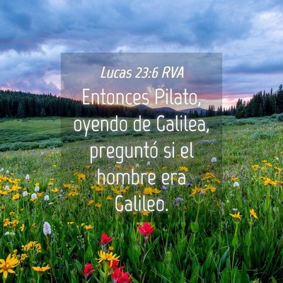 Picture 04 - Lucas 23:6 RVA - Entonces Pilato, oyendo de Galilea, preguntó si - Bible Verse Picture