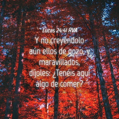 Picture 04 - Lucas 24:41 RVA - Y no creyéndolo aún ellos de gozo, y - Bible Verse Picture