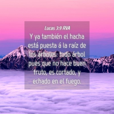 Picture 04 - Lucas 3:9 RVA - Y ya también el hacha está puesta á la raíz - Bible Verse Picture