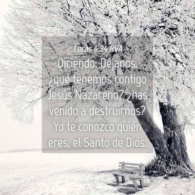 Picture 04 - Lucas 4:34 RVA - Diciendo: Déjanos, ¿qué tenemos contigo Jesús - Bible Verse Picture