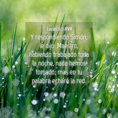 Picture 04 - Lucas 5:5 RVA - Y respondiendo Simón, le dijo: Maestro, habiendo - Bible Verse Picture