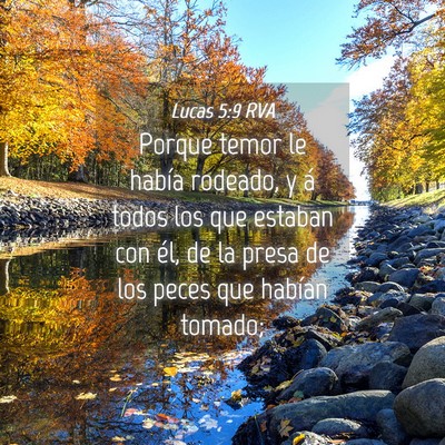 Picture 04 - Lucas 5:9 RVA - Porque temor le había rodeado, y á todos los - Bible Verse Picture