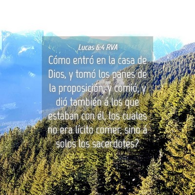 Picture 04 - Lucas 6:4 RVA - Cómo entró en la casa de Dios, y tomó los - Bible Verse Picture