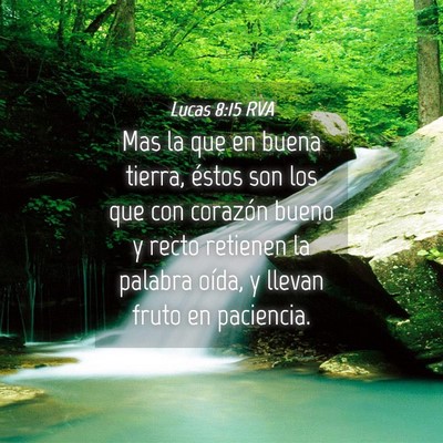 Picture 04 - Lucas 8:15 RVA - Mas la que en buena tierra, éstos son los que - Bible Verse Picture