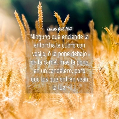 Picture 04 - Lucas 8:16 RVA - Ninguno que enciende la antorcha la cubre con - Bible Verse Picture