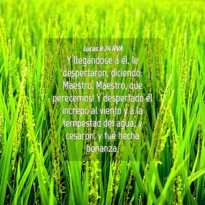 Picture 04 - Lucas 8:24 RVA - Y llegándose á él, le despertaron, diciendo: - Bible Verse Picture