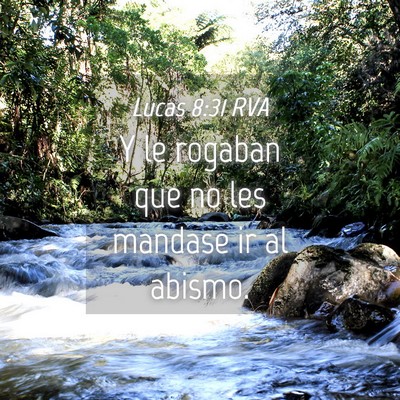 Picture 04 - Lucas 8:31 RVA - Y le rogaban que no les mandase ir al - Bible Verse Picture