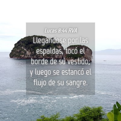 Picture 04 - Lucas 8:44 RVA - Llegándose por las espaldas, tocó el borde de - Bible Verse Picture