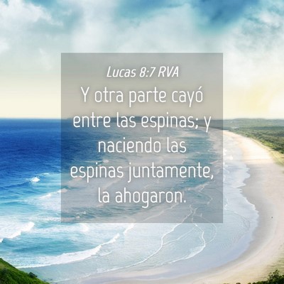 Picture 04 - Lucas 8:7 RVA - Y otra parte cayó entre las espinas; y naciendo - Bible Verse Picture