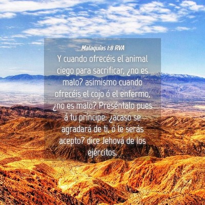 Picture 04 - Malaquías 1:8 RVA - Y cuando ofrecéis el animal ciego para - Bible Verse Picture