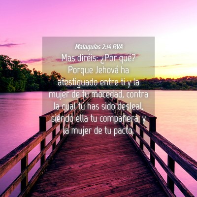 Picture 04 - Malaquías 2:14 RVA - Mas diréis: ¿Por qué? Porque Jehová ha - Bible Verse Picture