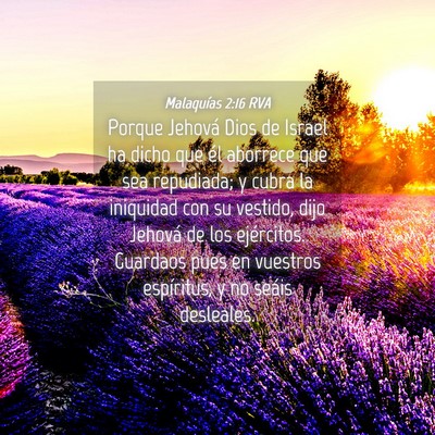 Picture 04 - Malaquías 2:16 RVA - Porque Jehová Dios de Israel ha dicho que él - Bible Verse Picture