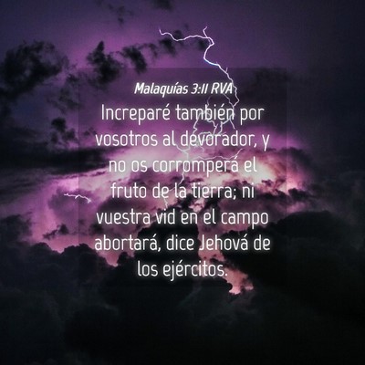 Picture 04 - Malaquías 3:11 RVA - Increparé también por vosotros al devorador, y - Bible Verse Picture