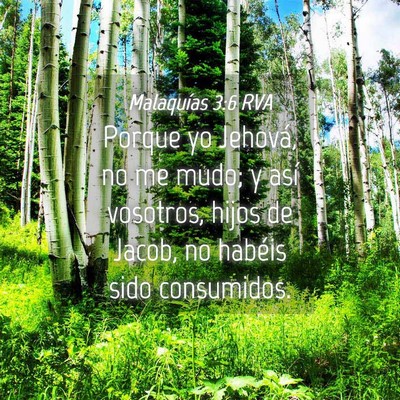 Picture 04 - Malaquías 3:6 RVA - Porque yo Jehová, no me mudo; y así vosotros, - Bible Verse Picture