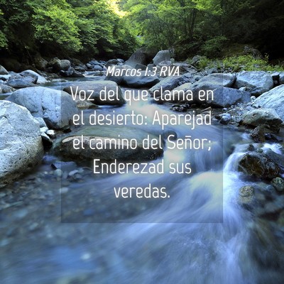 Picture 04 - Marcos 1:3 RVA - Voz del que clama en el desierto: Aparejad el - Bible Verse Picture