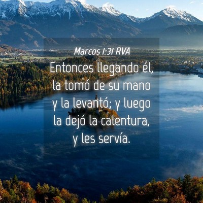 Picture 04 - Marcos 1:31 RVA - Entonces llegando él, la tomó de su mano y la - Bible Verse Picture