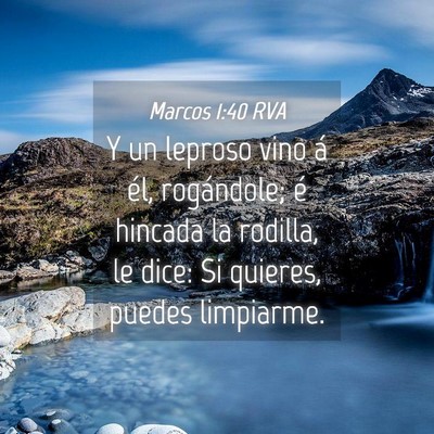 Picture 04 - Marcos 1:40 RVA - Y un leproso vino á él, rogándole; é hincada - Bible Verse Picture