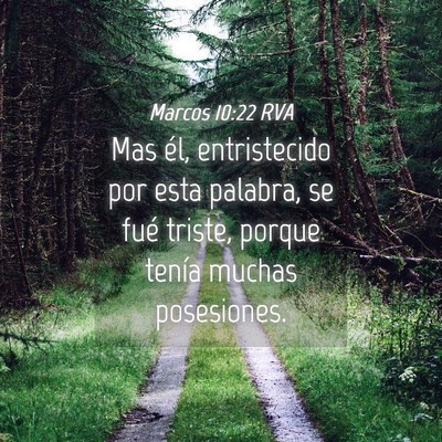 Picture 04 - Marcos 10:22 RVA - Mas él, entristecido por esta palabra, se fué - Bible Verse Picture
