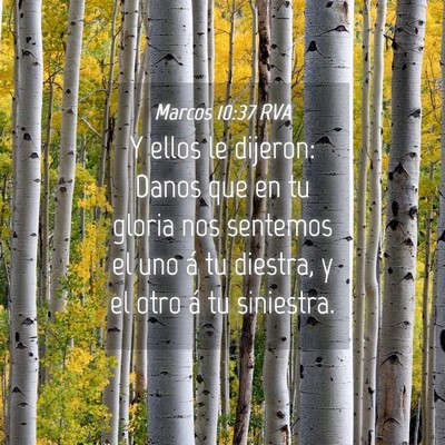Picture 04 - Marcos 10:37 RVA - Y ellos le dijeron: Danos que en tu gloria nos - Bible Verse Picture