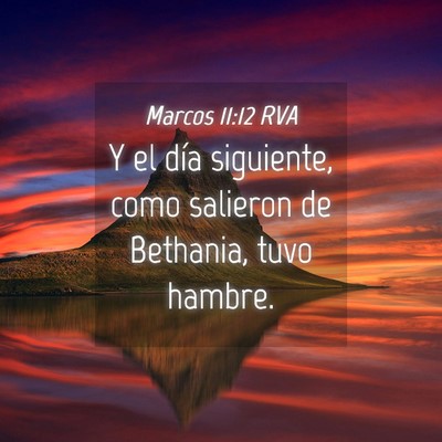 Picture 04 - Marcos 11:12 RVA - Y el día siguiente, como salieron de Bethania, - Bible Verse Picture