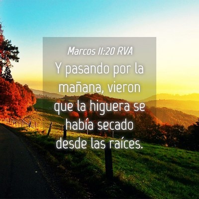 Picture 04 - Marcos 11:20 RVA - Y pasando por la mañana, vieron que la higuera - Bible Verse Picture