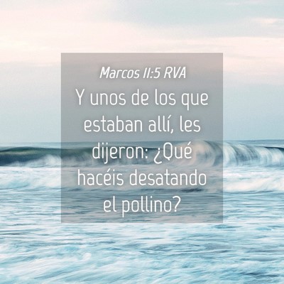 Picture 04 - Marcos 11:5 RVA - Y unos de los que estaban allí, les dijeron: - Bible Verse Picture