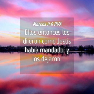 Picture 04 - Marcos 11:6 RVA - Ellos entonces les dijeron como Jesús había - Bible Verse Picture