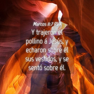 Picture 04 - Marcos 11:7 RVA - Y trajeron el pollino á Jesús, y echaron sobre - Bible Verse Picture