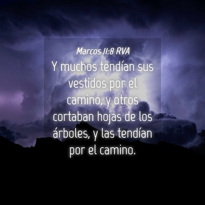 Picture 04 - Marcos 11:8 RVA - Y muchos tendían sus vestidos por el camino, y - Bible Verse Picture