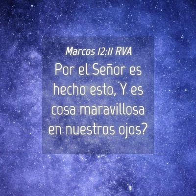 Picture 04 - Marcos 12:11 RVA - Por el Señor es hecho esto, Y es cosa - Bible Verse Picture