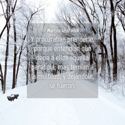Picture 04 - Marcos 12:12 RVA - Y procuraban prenderle, porque entendían que - Bible Verse Picture
