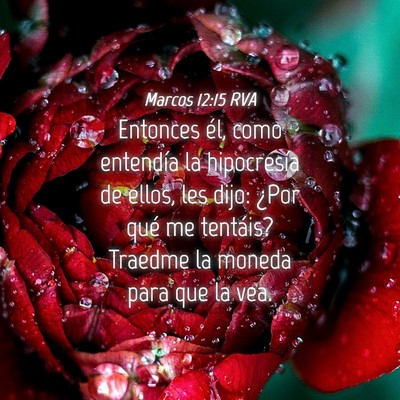 Picture 04 - Marcos 12:15 RVA - Entonces él, como entendía la hipocresía de - Bible Verse Picture
