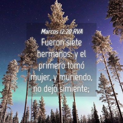 Picture 04 - Marcos 12:20 RVA - Fueron siete hermanos: y el primero tomó mujer, - Bible Verse Picture