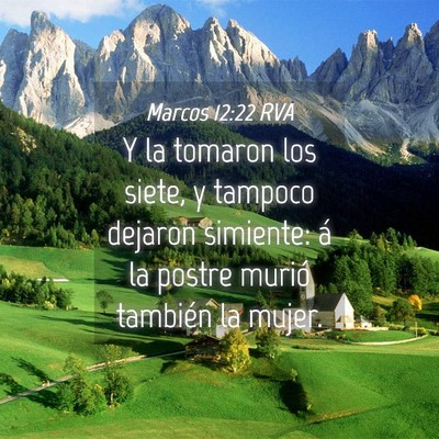 Picture 04 - Marcos 12:22 RVA - Y la tomaron los siete, y tampoco dejaron - Bible Verse Picture