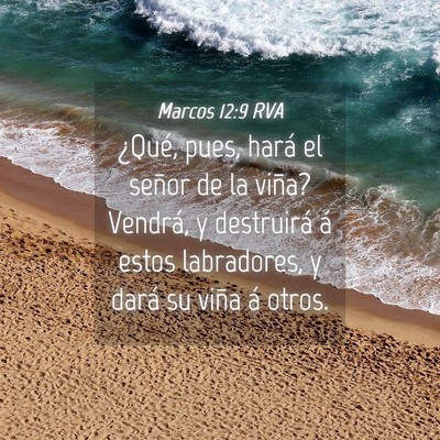 Picture 04 - Marcos 12:9 RVA - ¿Qué, pues, hará el señor de la viña? - Bible Verse Picture