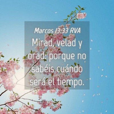 Picture 04 - Marcos 13:33 RVA - Mirad, velad y orad: porque no sabéis cuándo - Bible Verse Picture