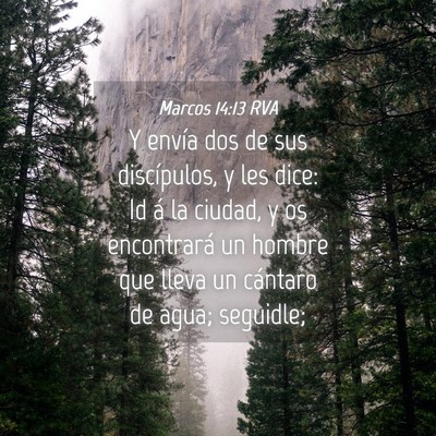 Picture 04 - Marcos 14:13 RVA - Y envía dos de sus discípulos, y les dice: Id - Bible Verse Picture