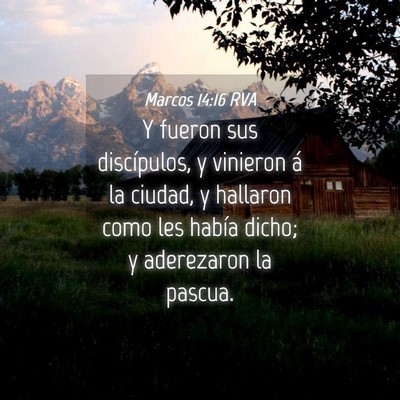 Picture 04 - Marcos 14:16 RVA - Y fueron sus discípulos, y vinieron á la - Bible Verse Picture