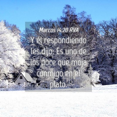 Picture 04 - Marcos 14:20 RVA - Y él respondiendo les dijo: Es uno de los doce - Bible Verse Picture