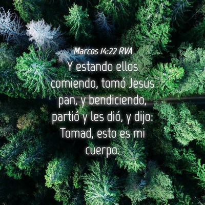 Picture 04 - Marcos 14:22 RVA - Y estando ellos comiendo, tomó Jesús pan, y - Bible Verse Picture