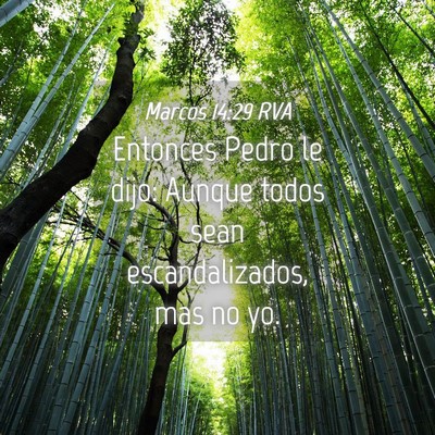 Picture 04 - Marcos 14:29 RVA - Entonces Pedro le dijo: Aunque todos sean - Bible Verse Picture