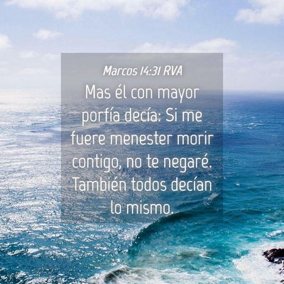 Picture 04 - Marcos 14:31 RVA - Mas él con mayor porfía decía: Si me fuere - Bible Verse Picture