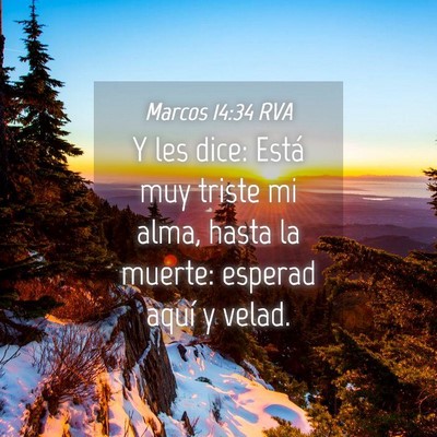 Picture 04 - Marcos 14:34 RVA - Y les dice: Está muy triste mi alma, hasta la - Bible Verse Picture