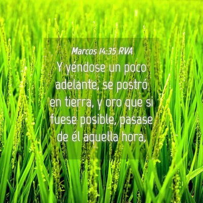 Picture 04 - Marcos 14:35 RVA - Y yéndose un poco adelante, se postró en - Bible Verse Picture