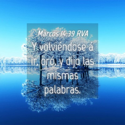 Picture 04 - Marcos 14:39 RVA - Y volviéndose á ir, oró, y dijo las mismas - Bible Verse Picture