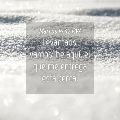 Picture 04 - Marcos 14:42 RVA - Levantaos, vamos: he aquí, el que me entrega - Bible Verse Picture