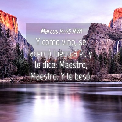 Picture 04 - Marcos 14:45 RVA - Y como vino, se acercó luego á él, y le dice: - Bible Verse Picture